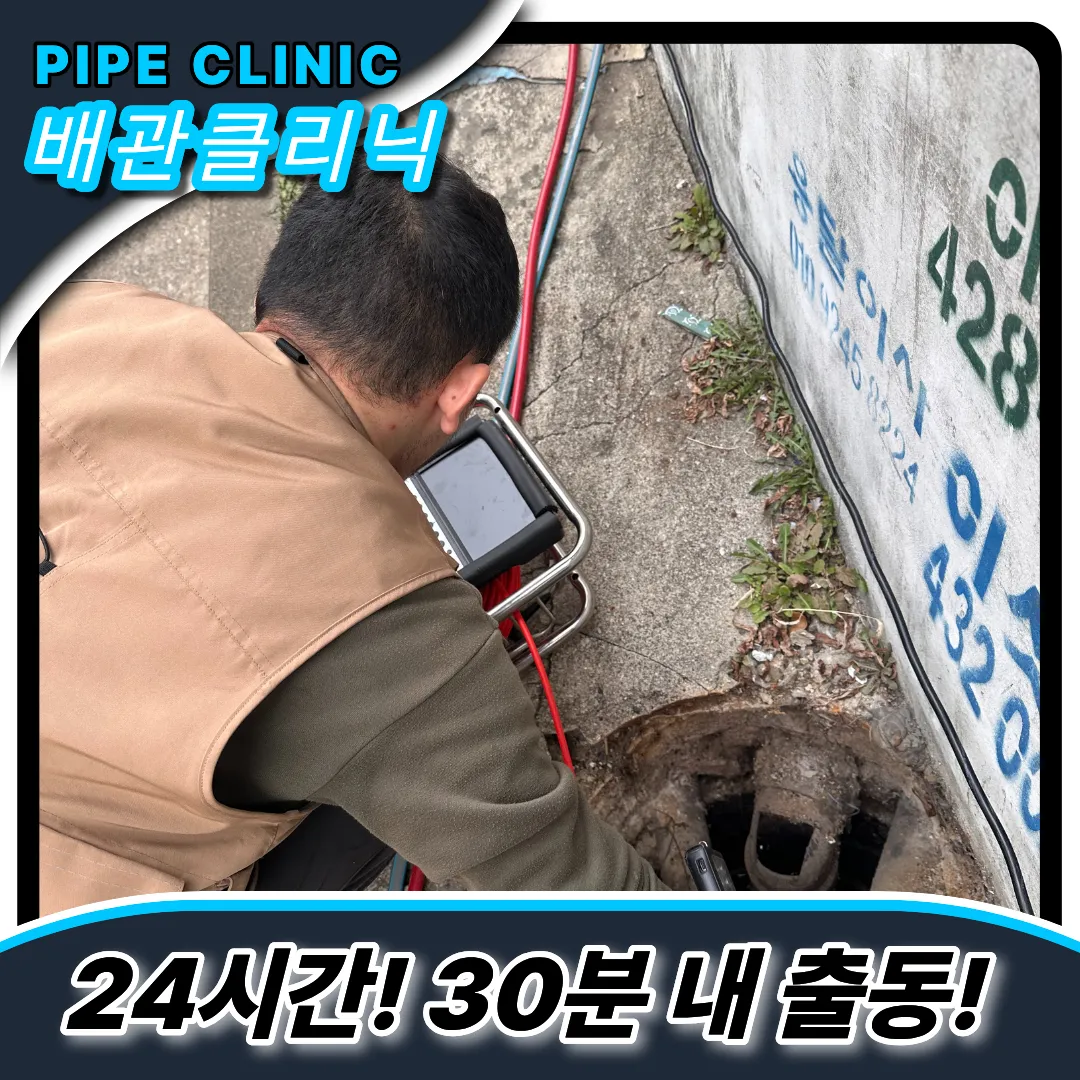 배수약한이유