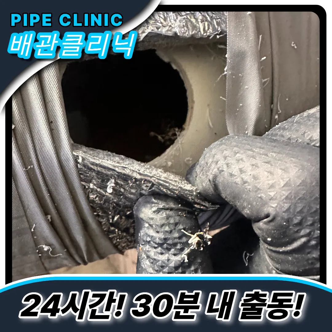 필로티빌라막힘