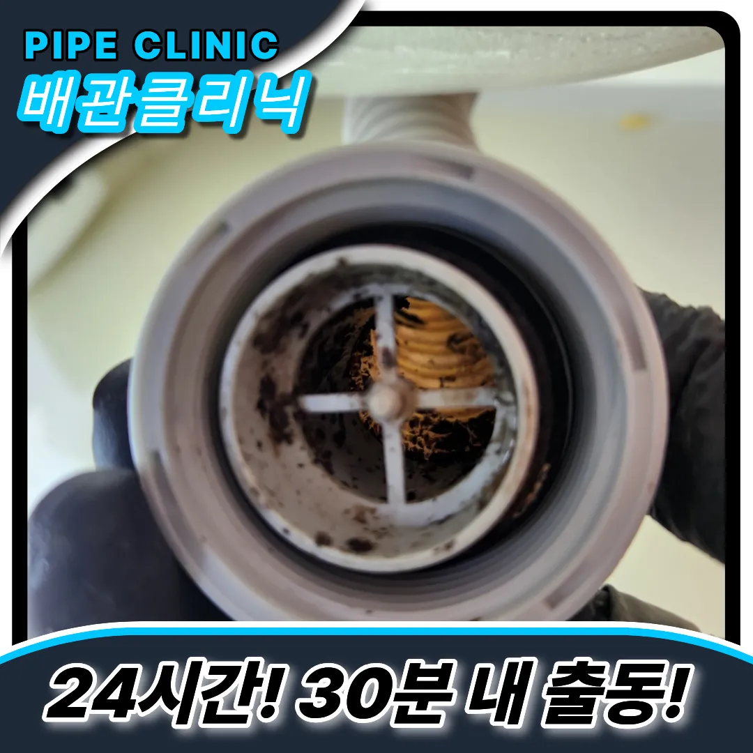 일상생활배상책임보험
