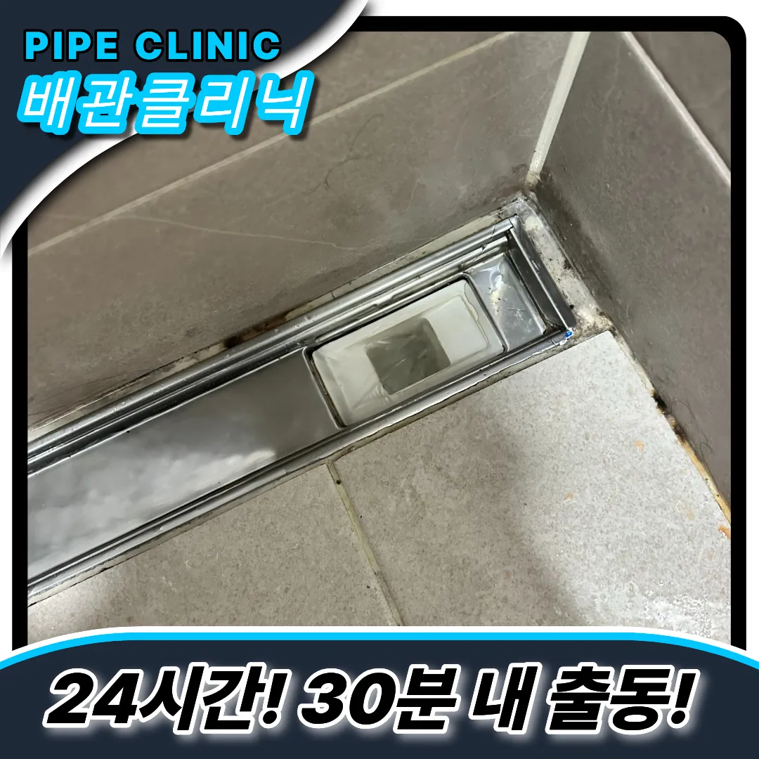 배수구냄새역류