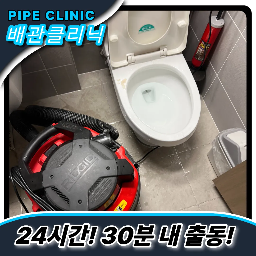 치실제거
