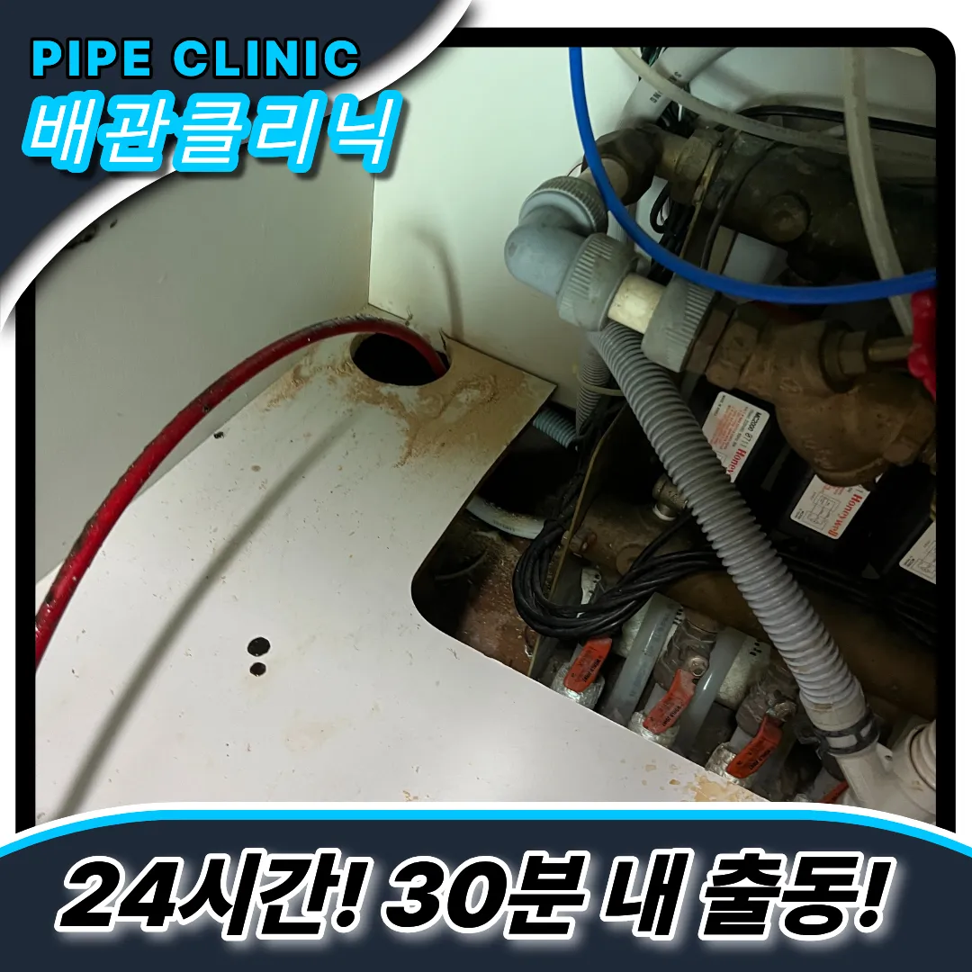 트랩점검
