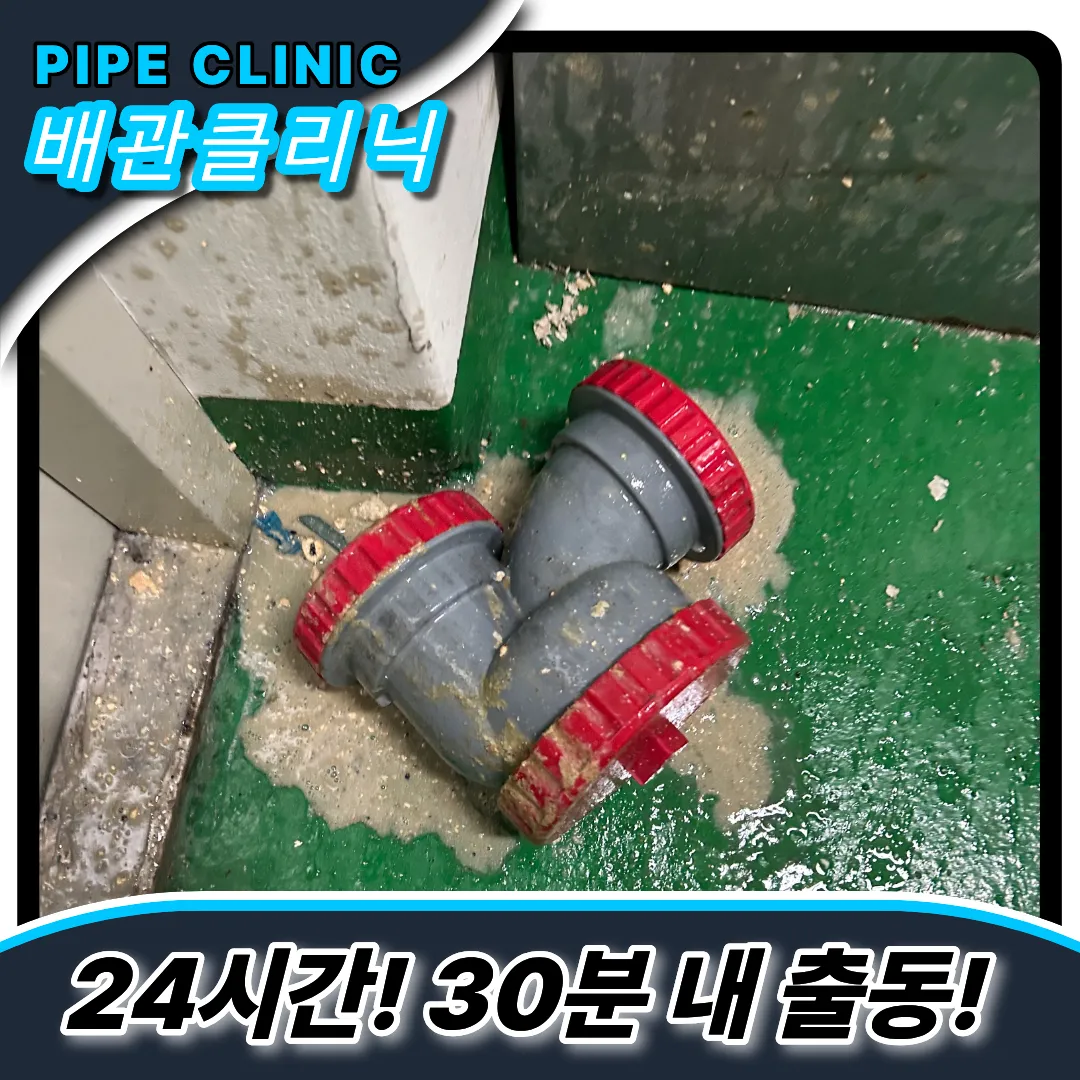 그리스트랩막힘