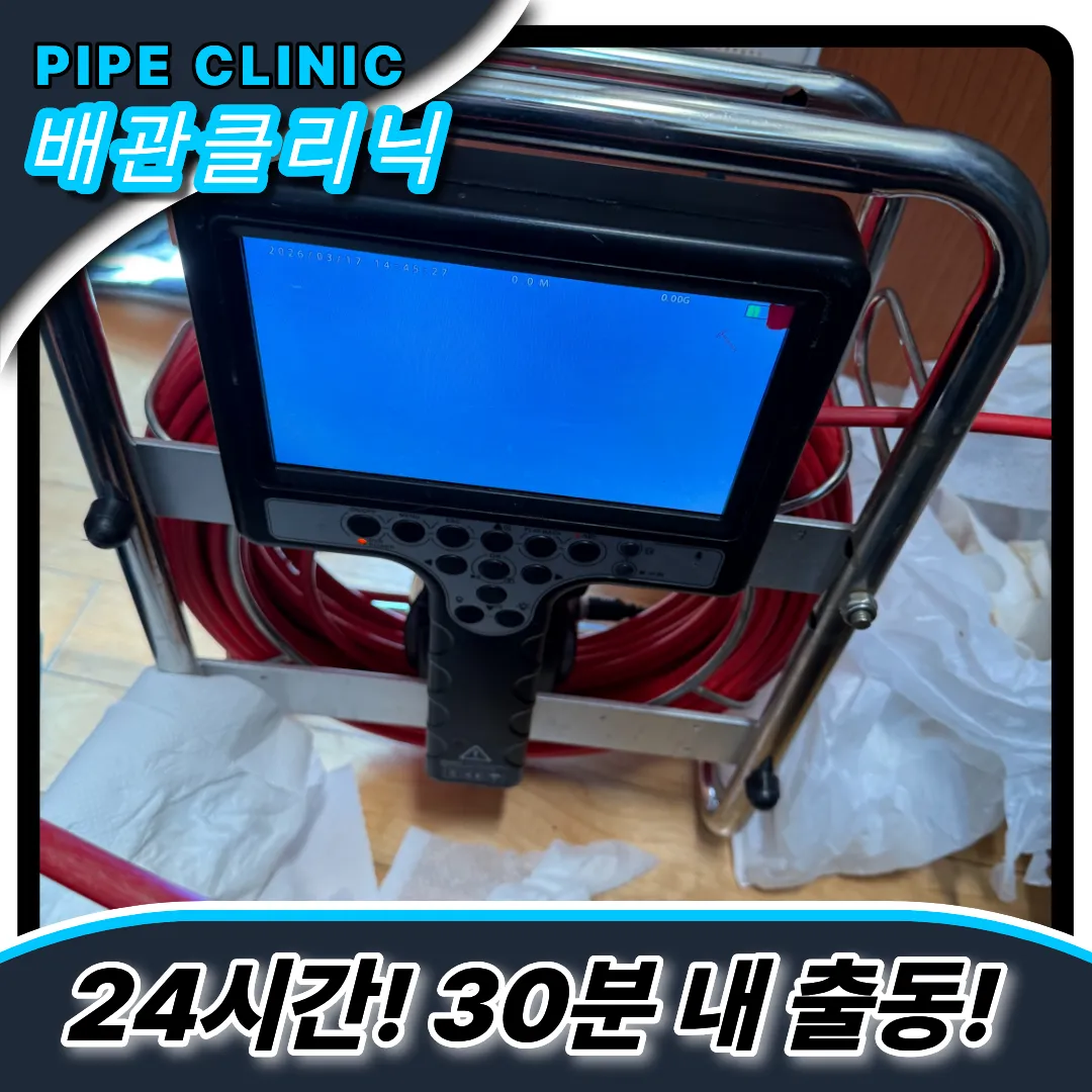 음식점세척주기