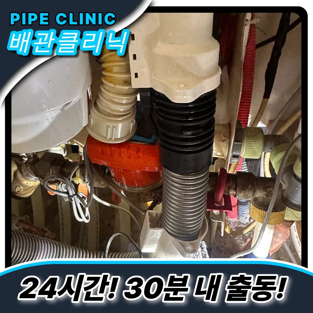 곰팡이제거방법