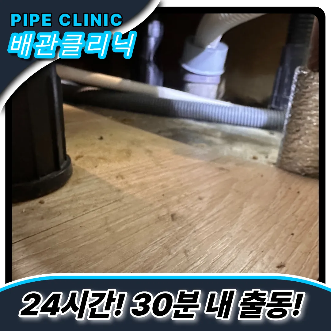 싱크대곰팡이제거
