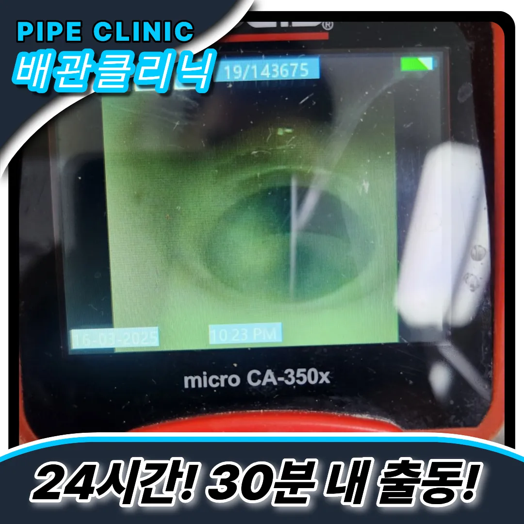 변기역류전문가