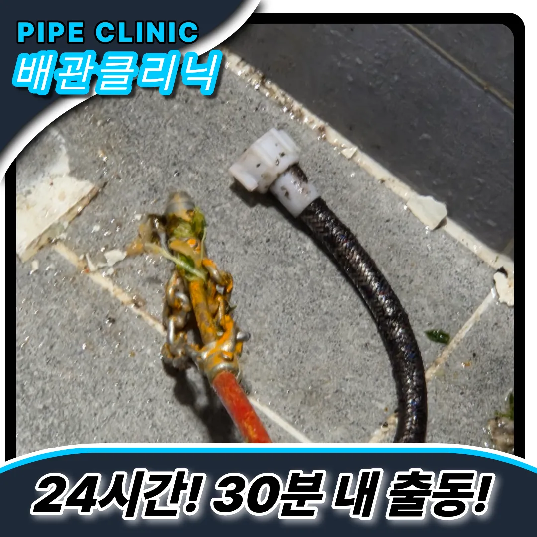 이물질제거전문