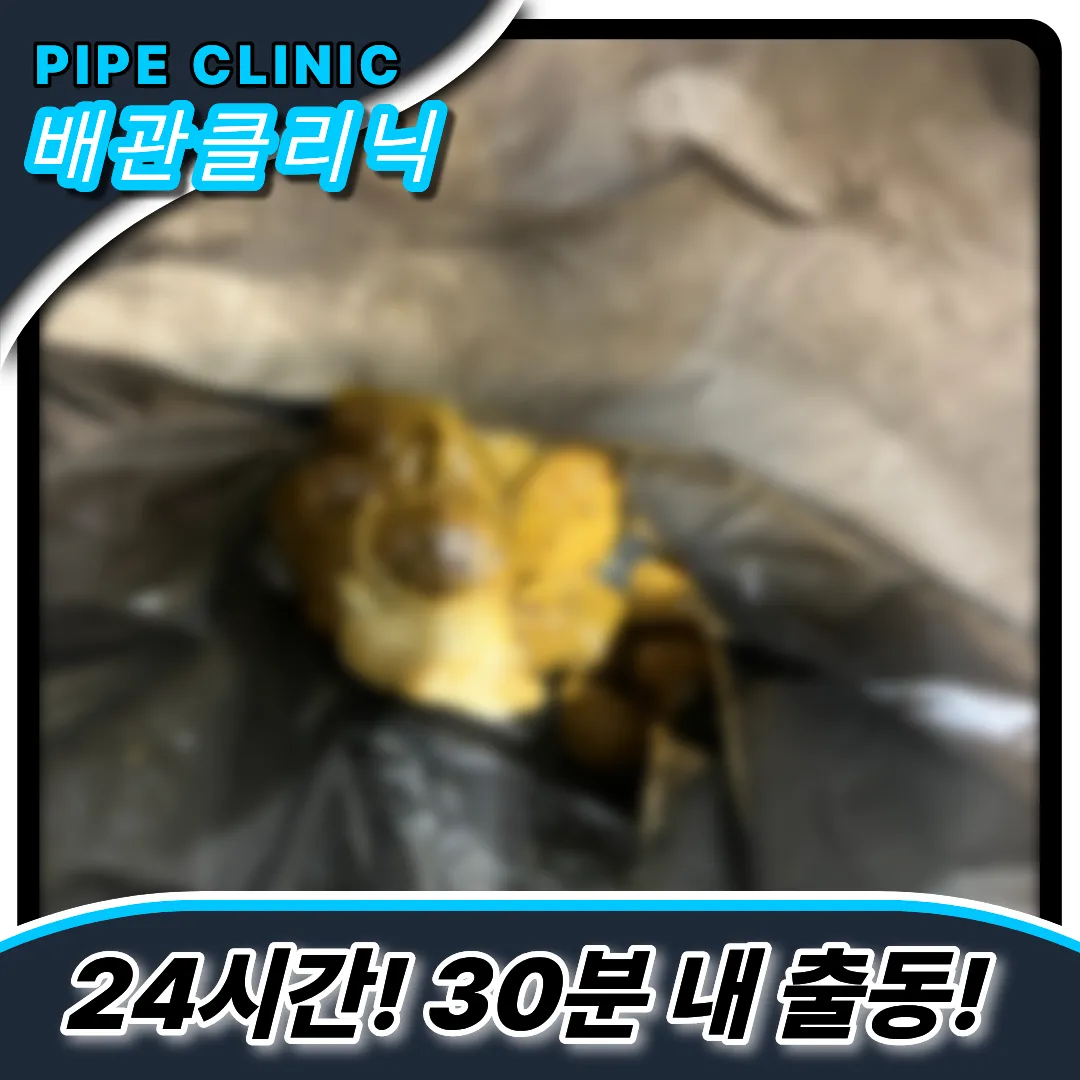 변기역류원인