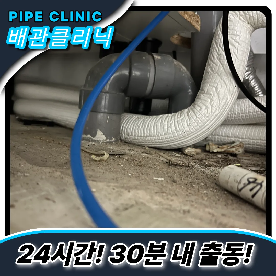 셀프해결안되는이유