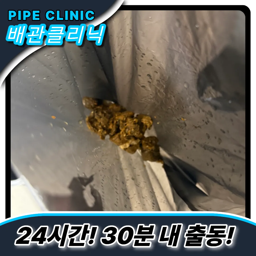 마포도화변기막힘