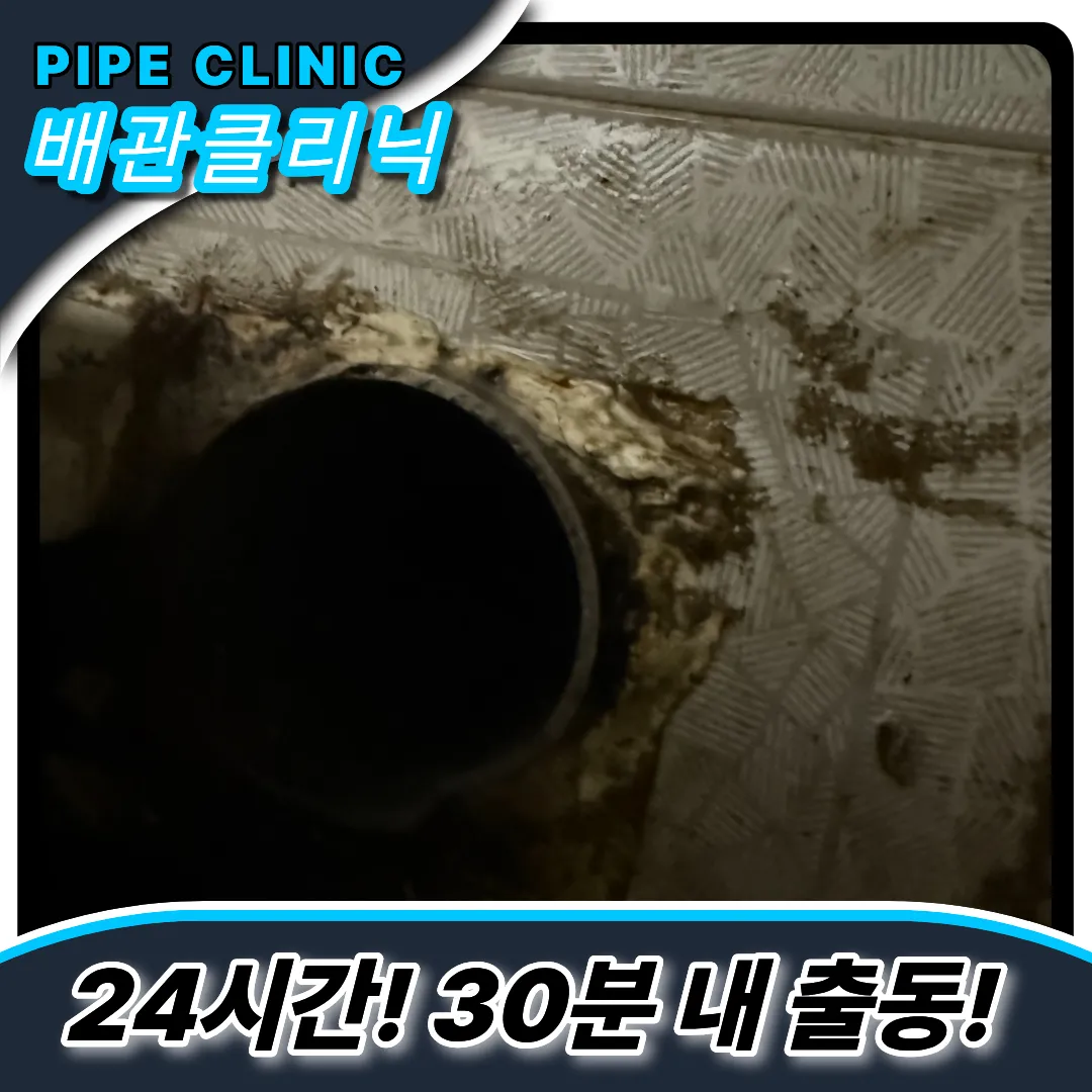 일직동싱크대역류