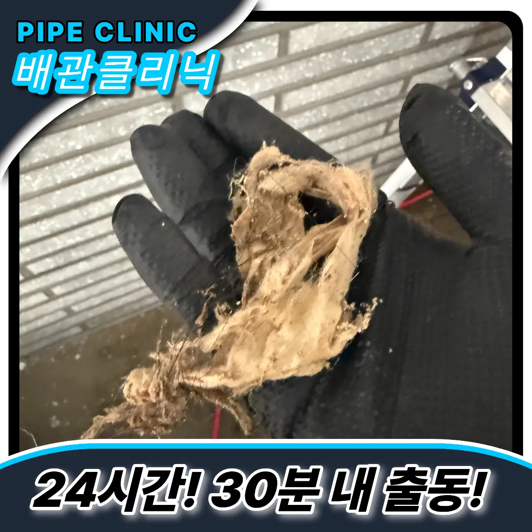 작전동하수구역류