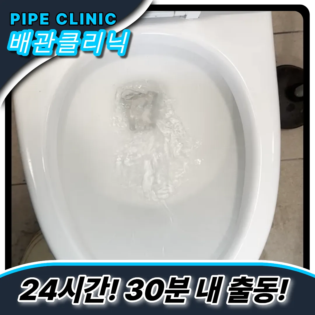 양재동변기역류