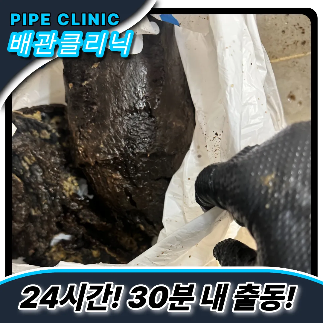 송죽동변기막힘
