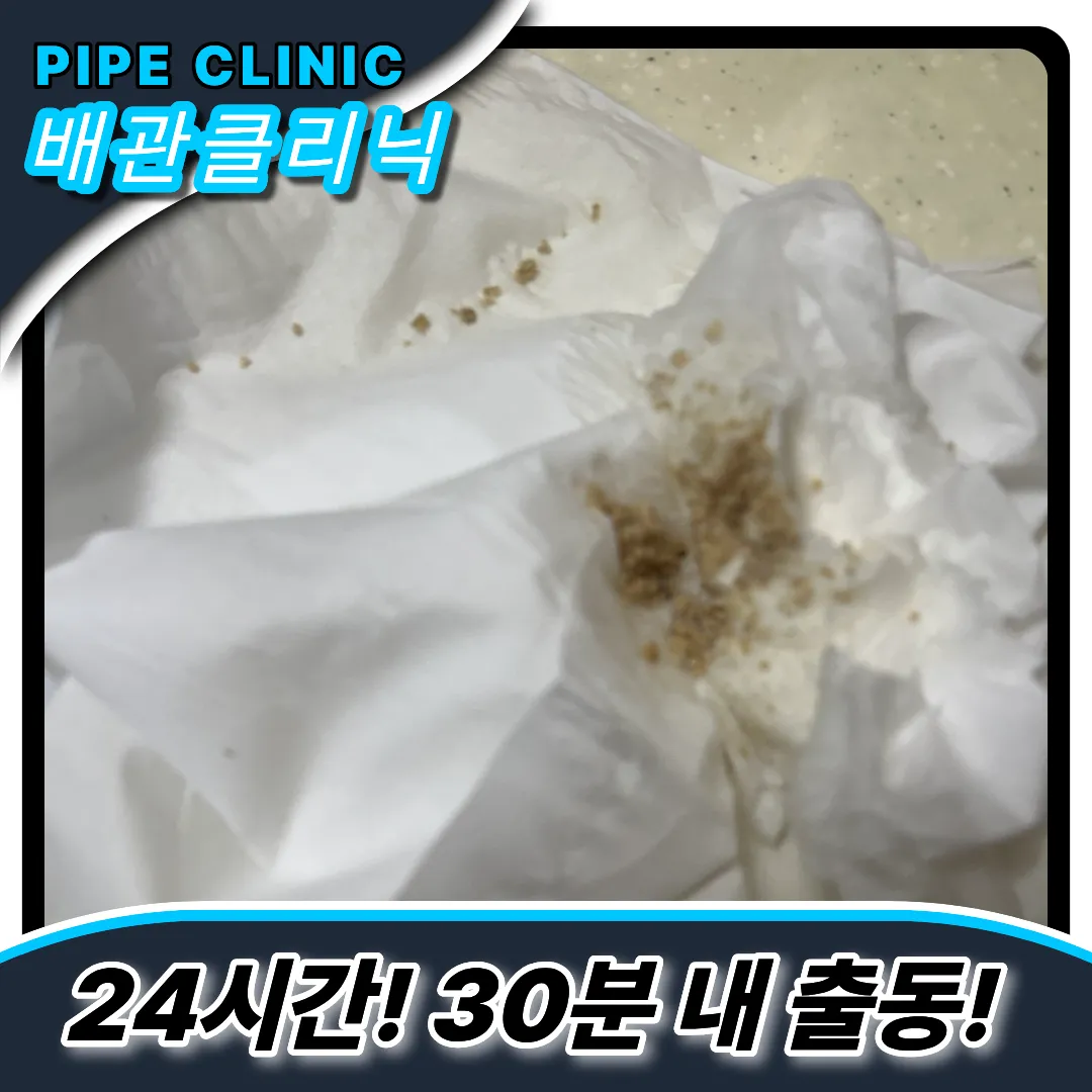 화장실배수구막힘