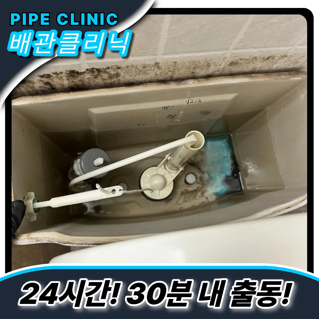 변기막힘