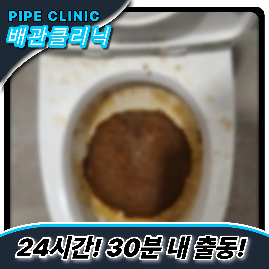 대변막힘