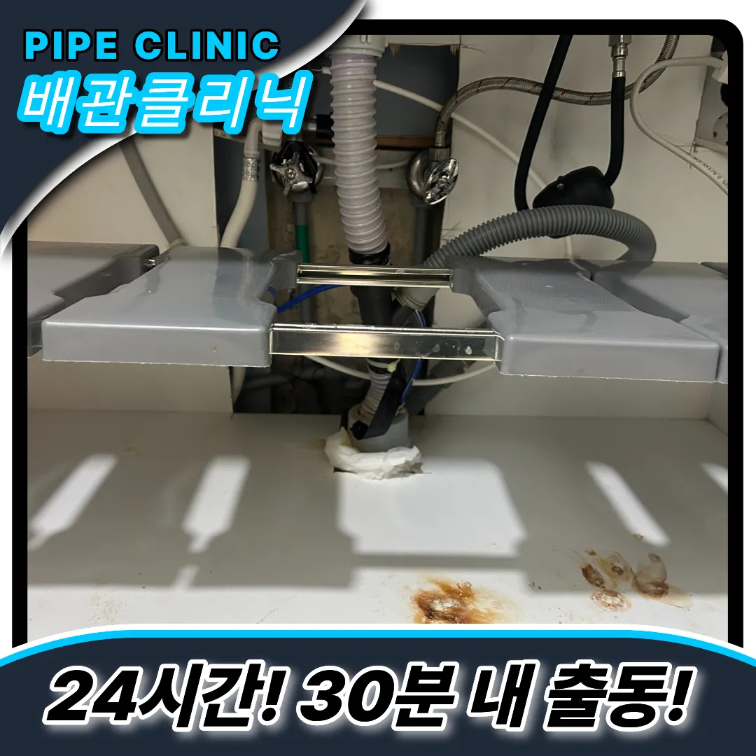 다이소제품추천