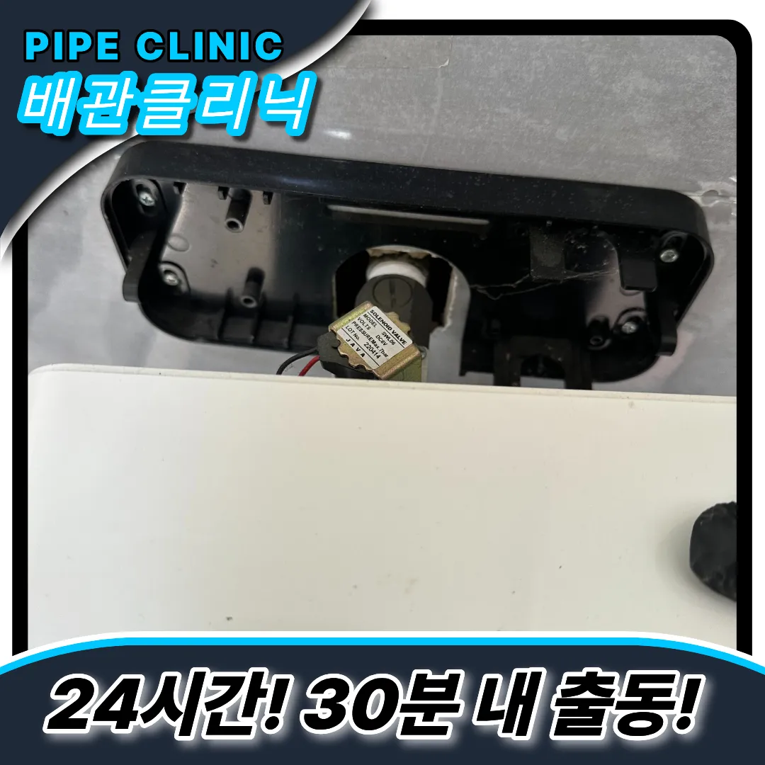 칫솔빠짐