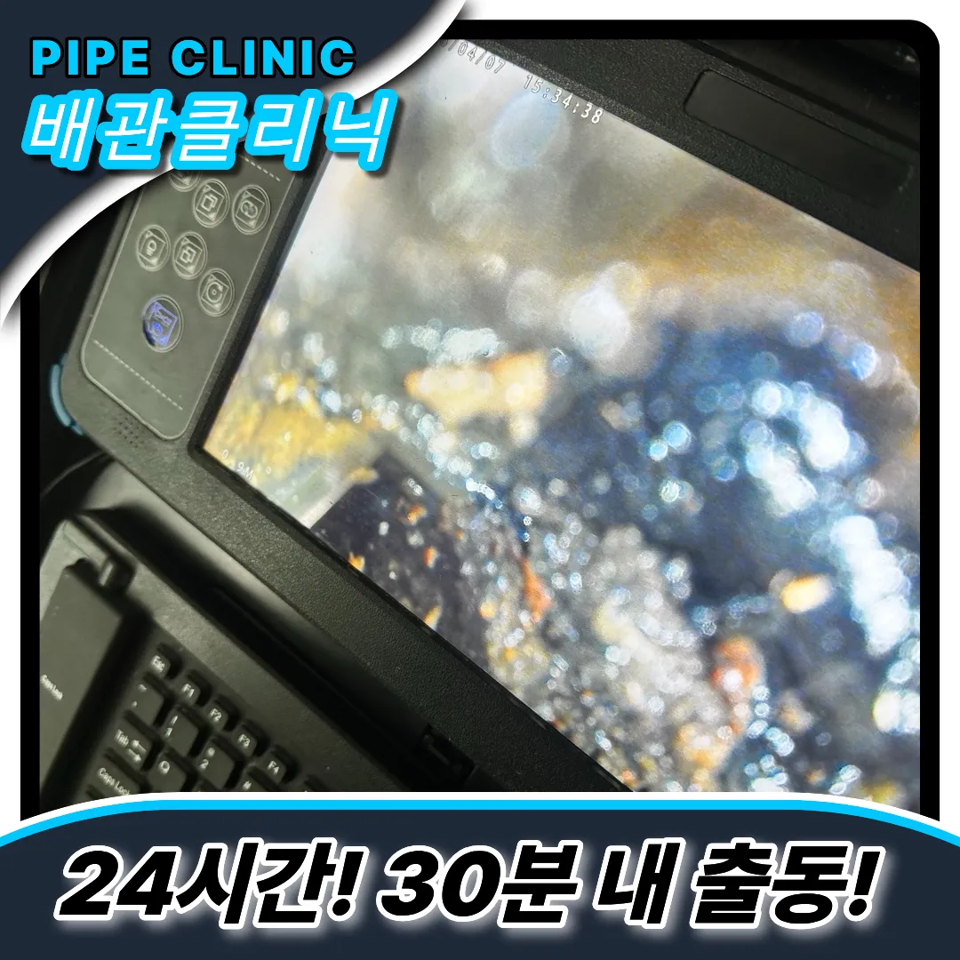 유지방부패