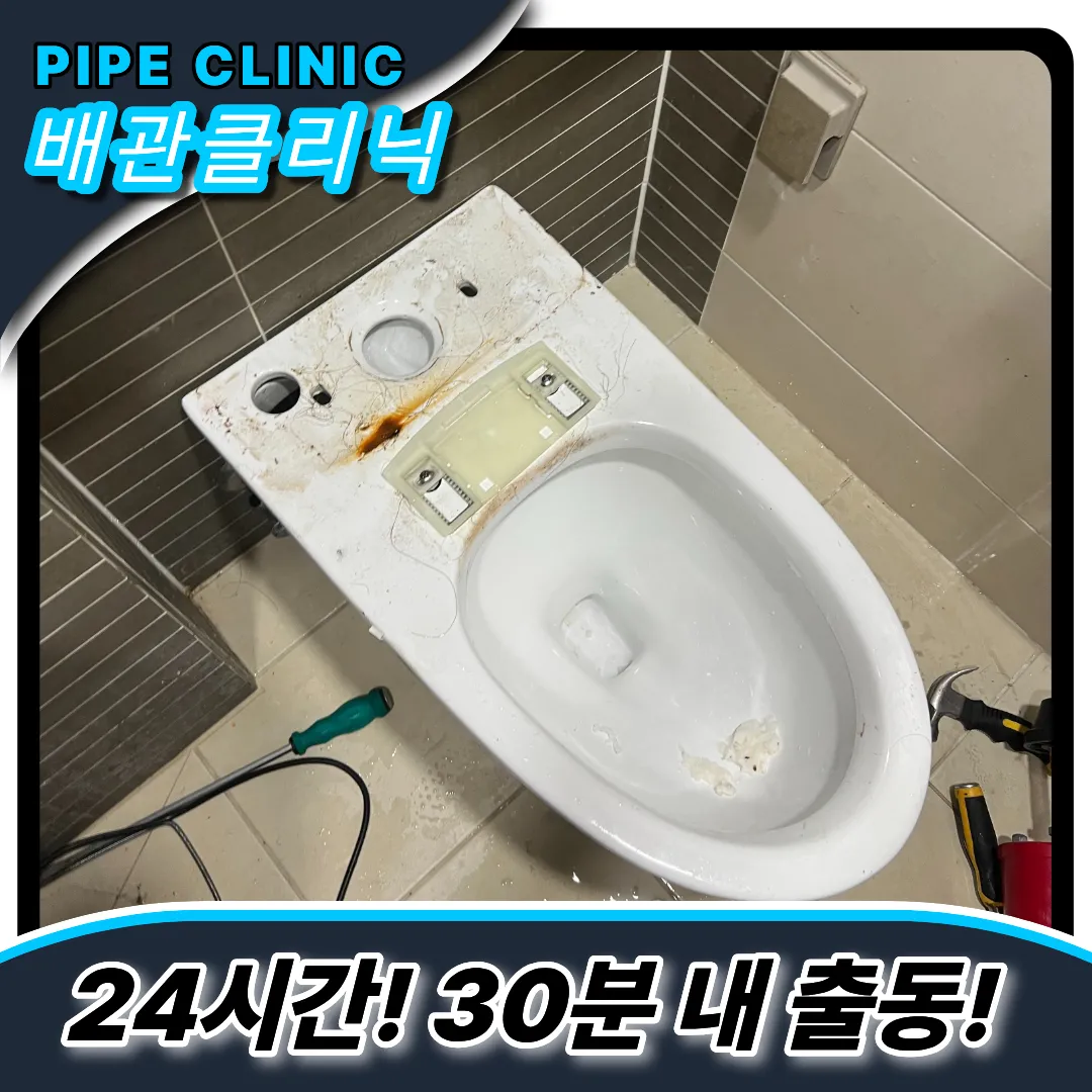 변기치약빠짐