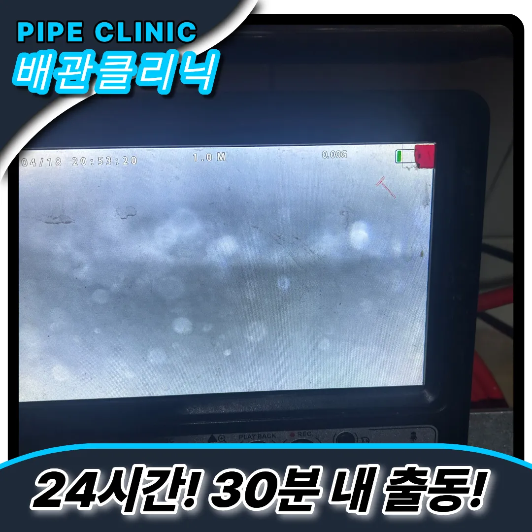 연안동하수구역류