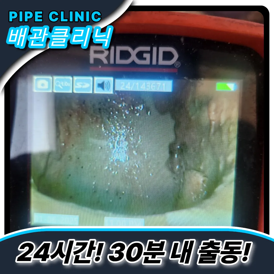 기포올라옴