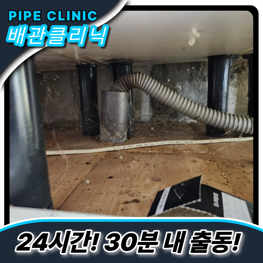다이소제품추천