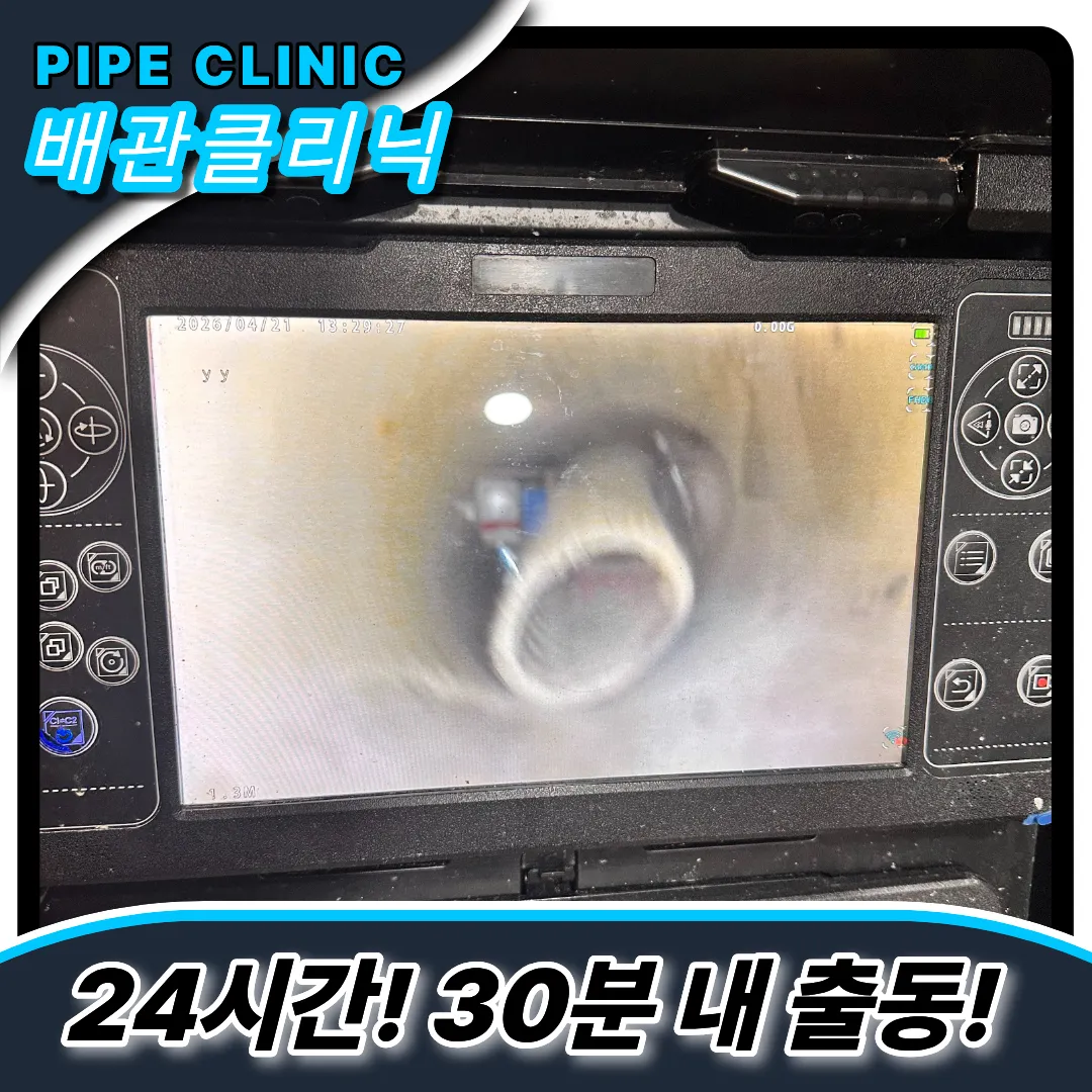 횡주관청소시기