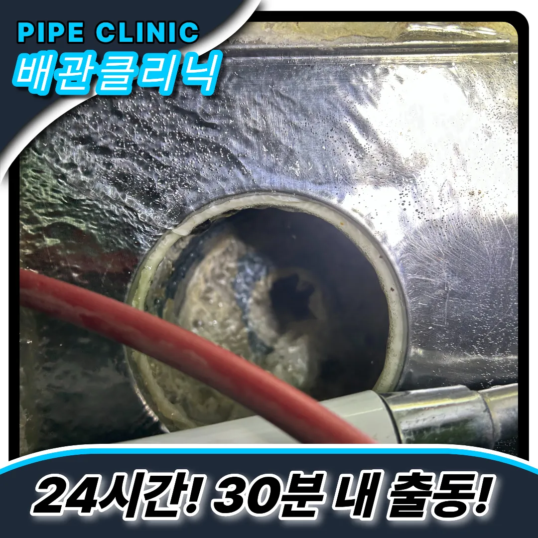 석회제거
