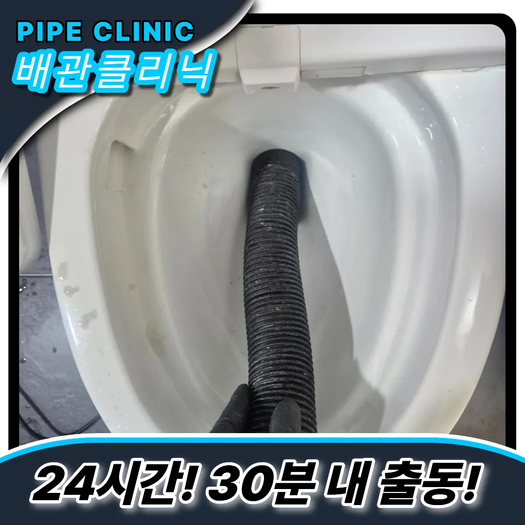 칫솔빠짐