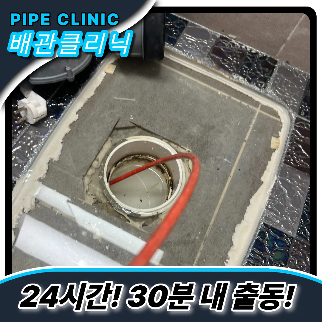 업체고르는꿀팁