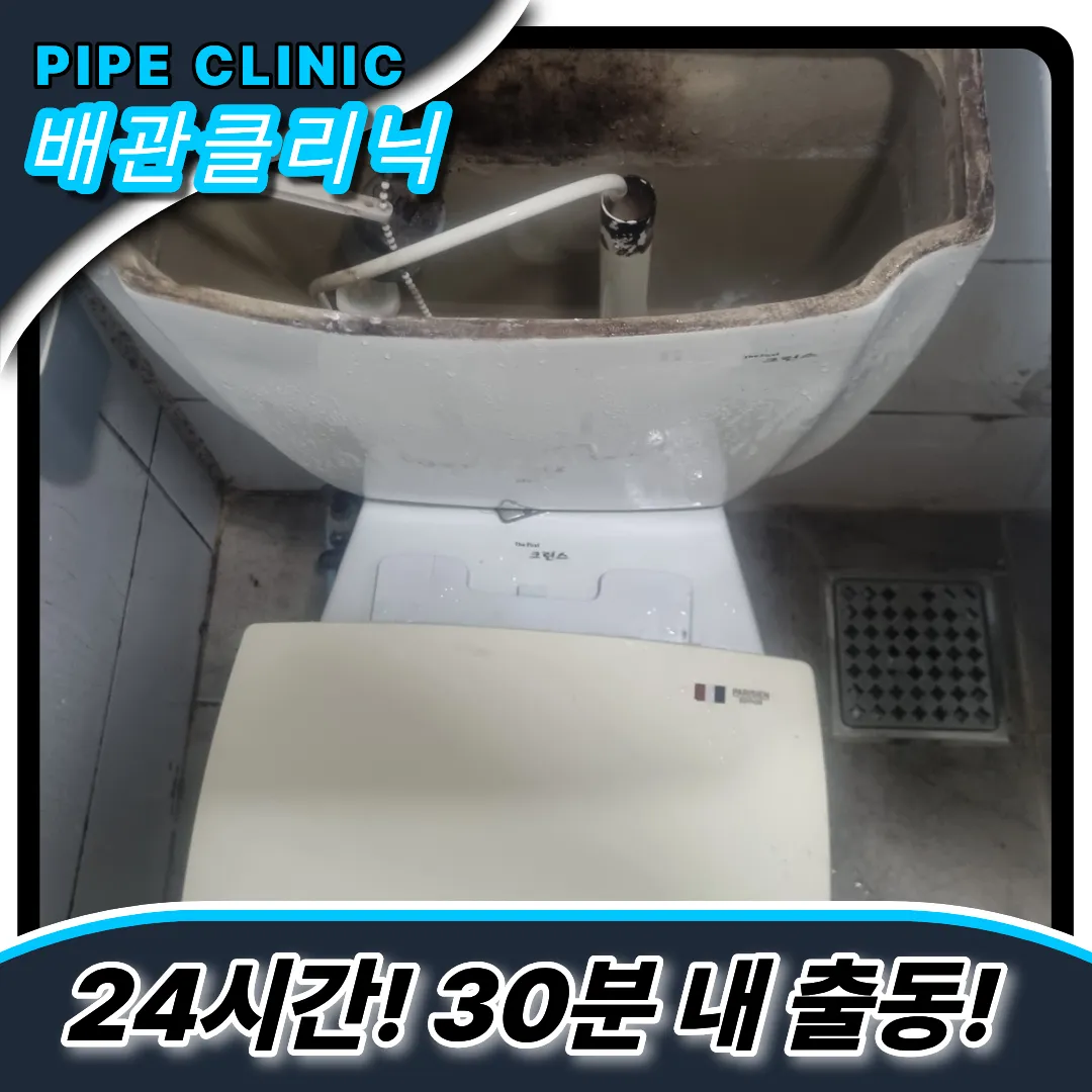 배수구스케일링