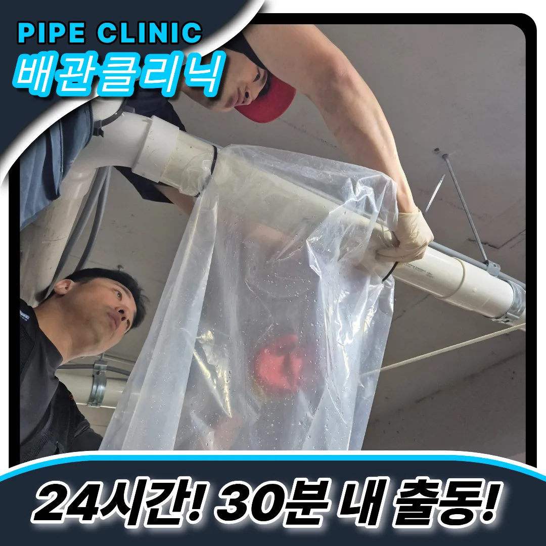 스케일링