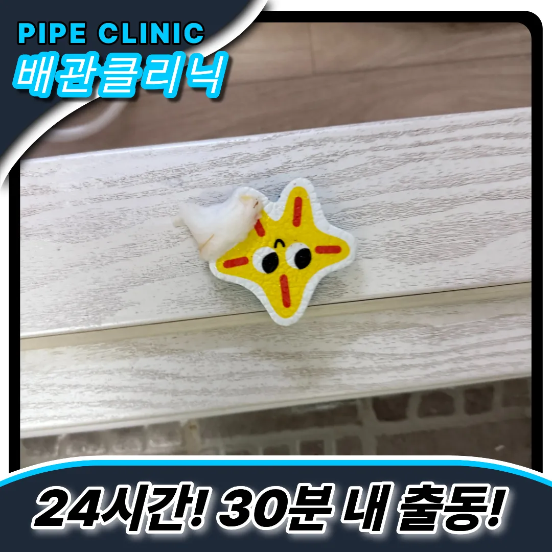 아이장난감빠짐