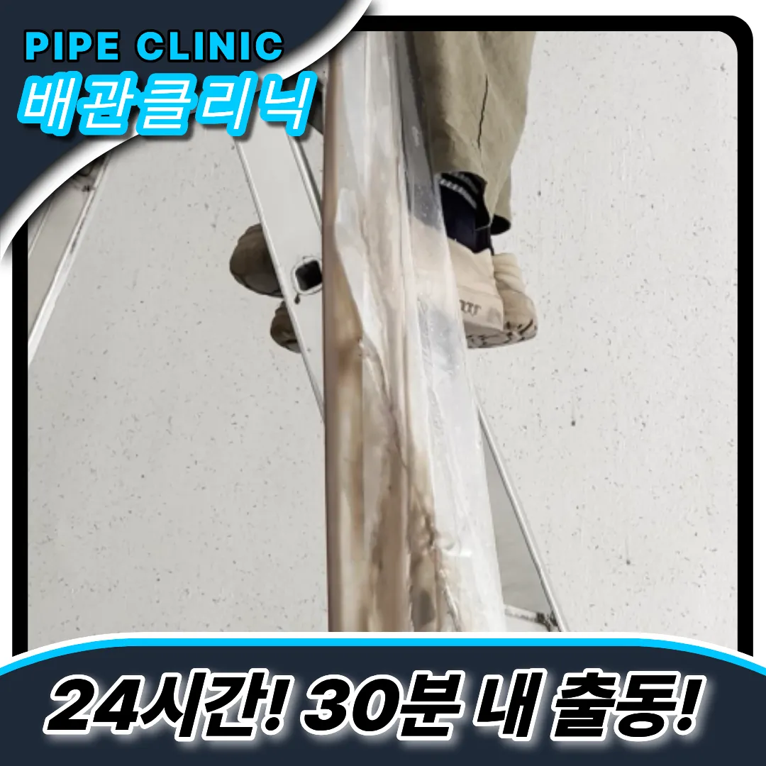 하수구전문가