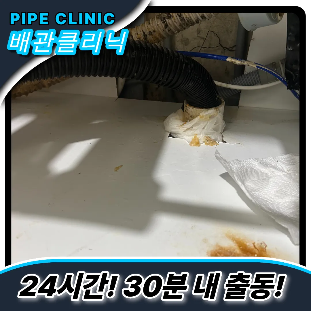 업체선별기준