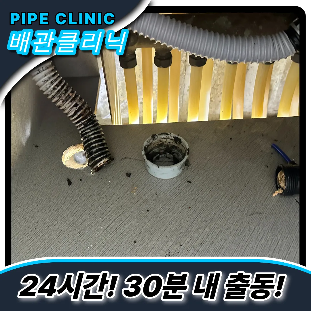 새까만이물질