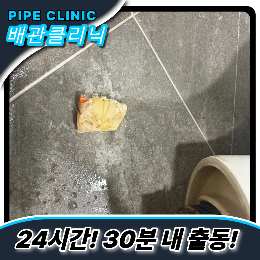 꽃게껍데기제거