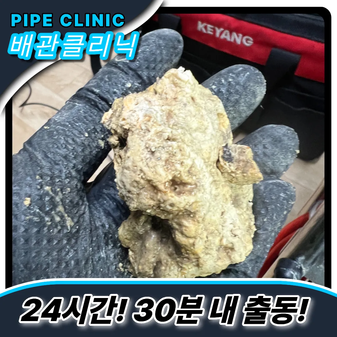 딱딱한슬러지
