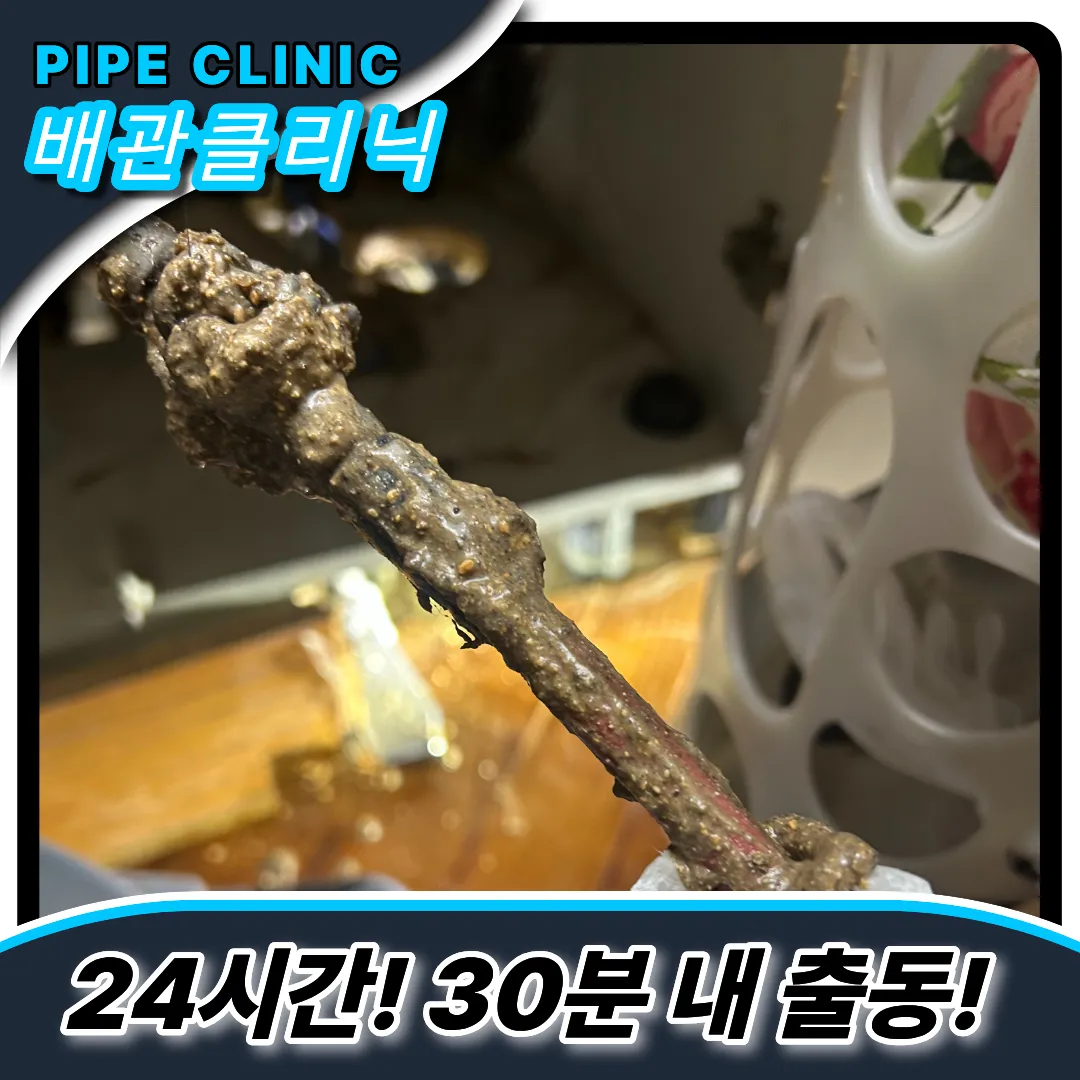 셀프실패