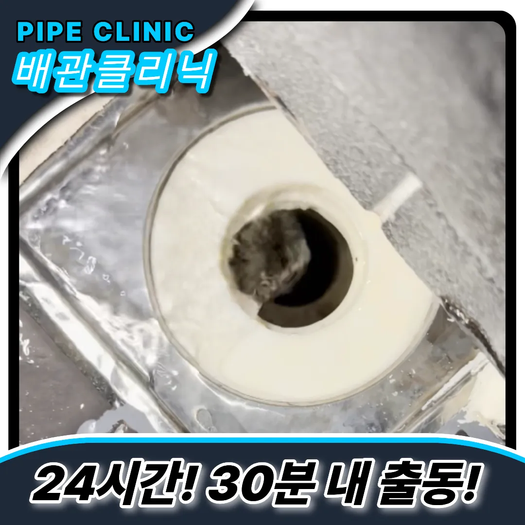 응암1동하수구막힘