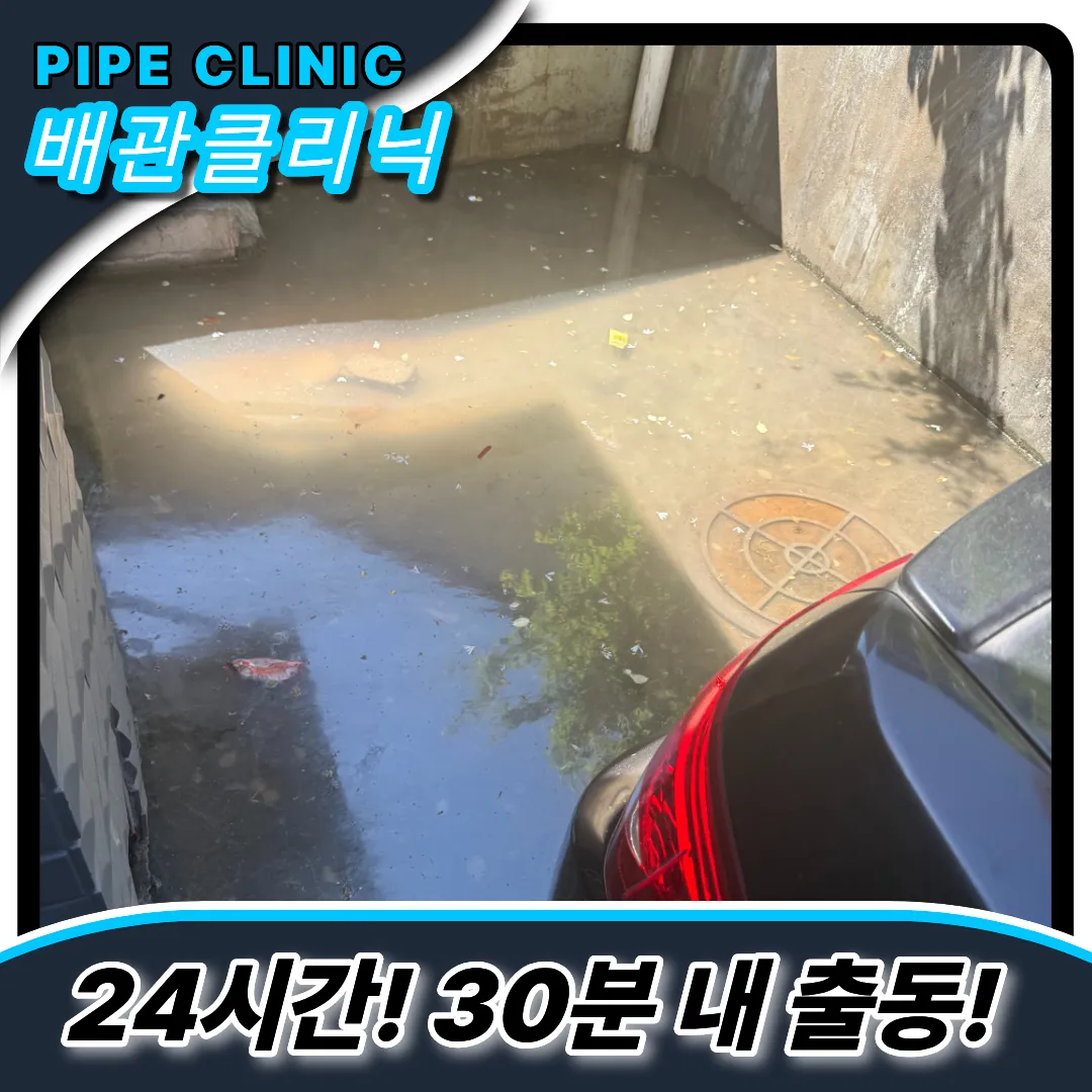 하수구역류