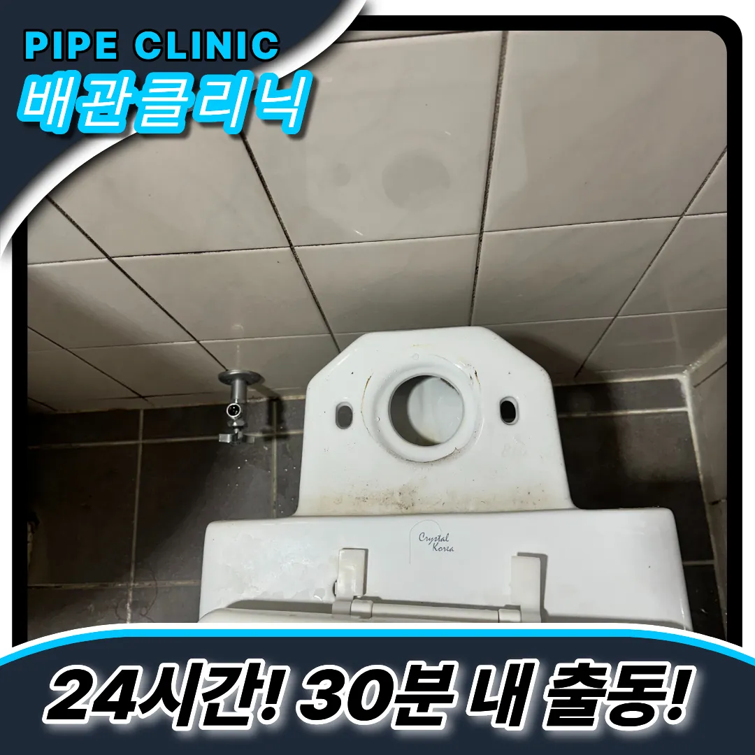 변기막힘