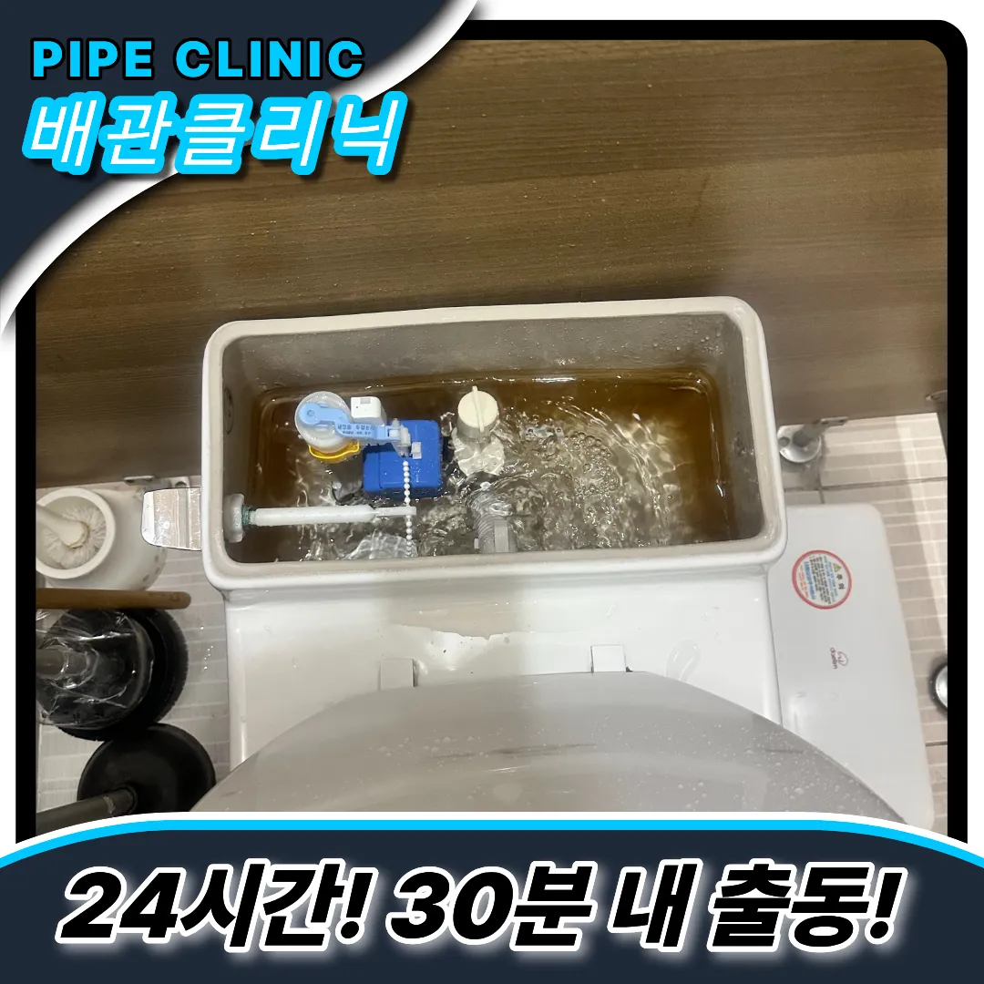 변기역류