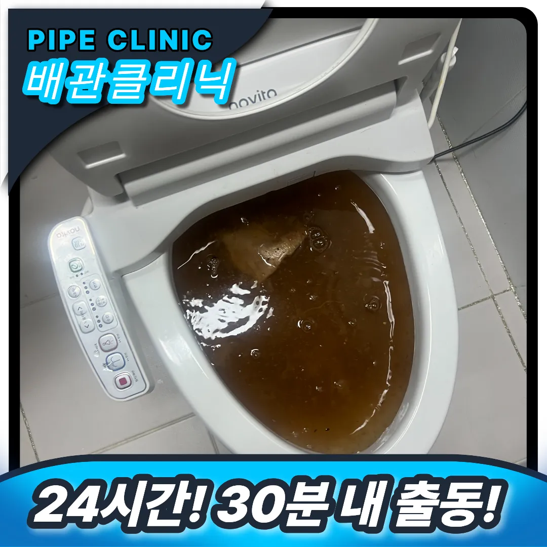 변기막힘