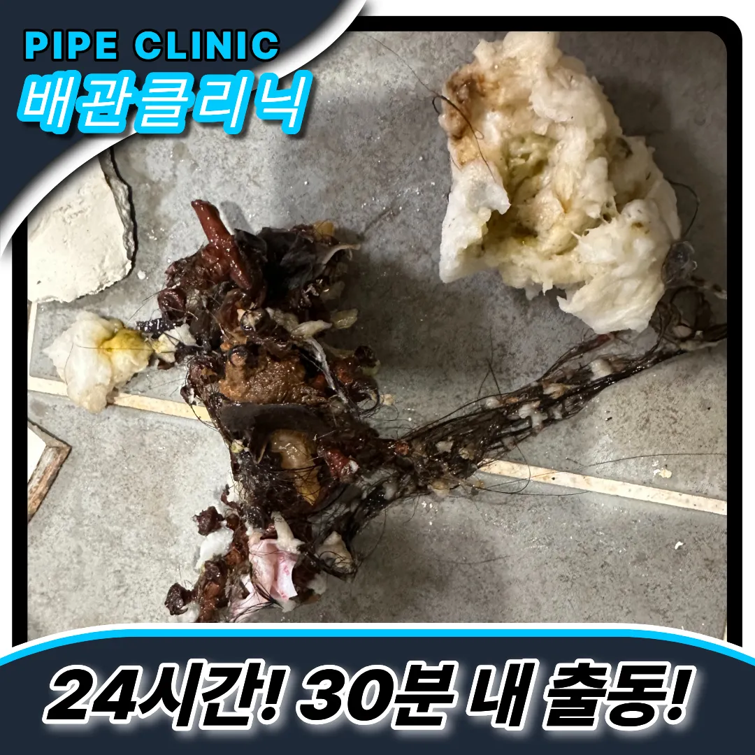 변기역류이유