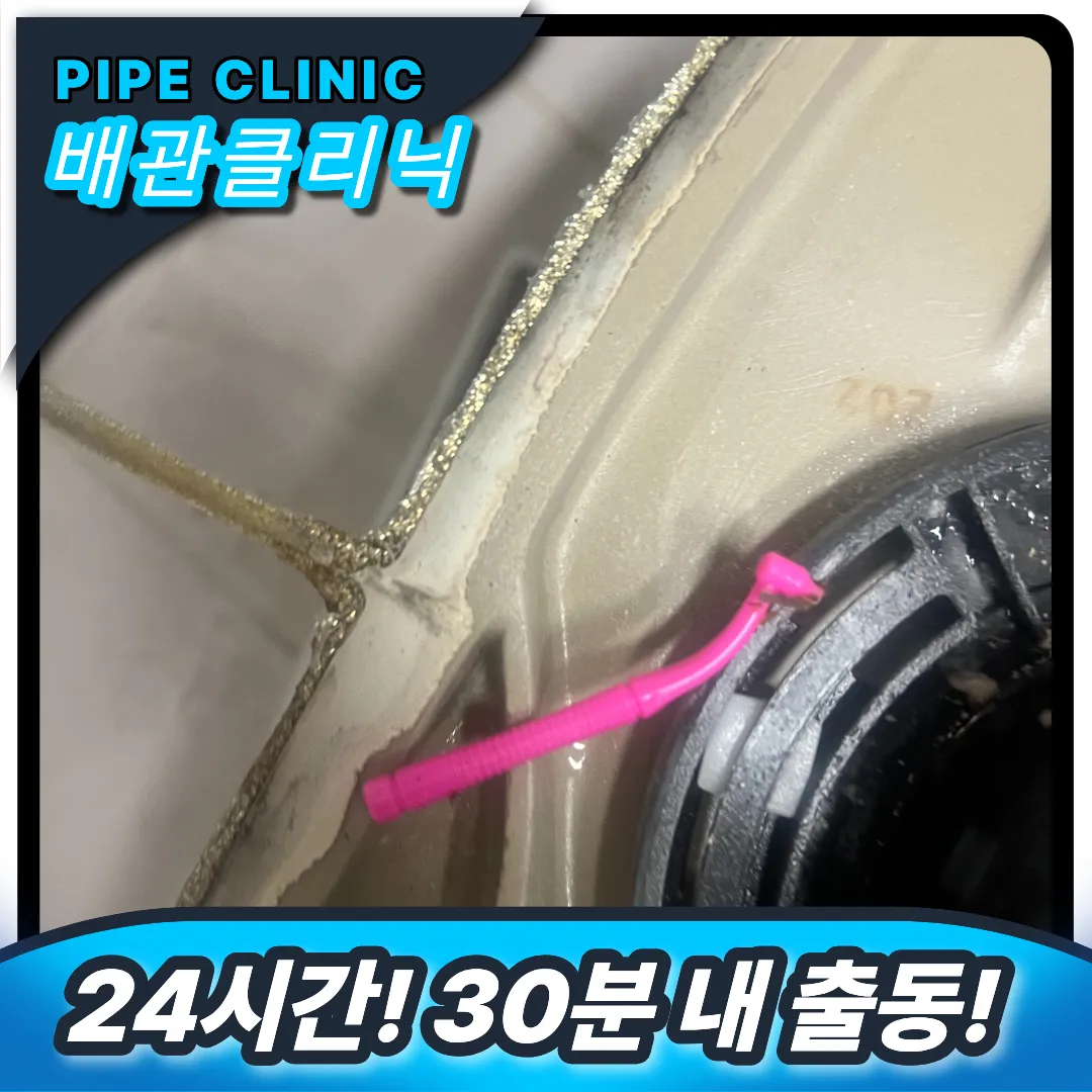 변기 속 치실