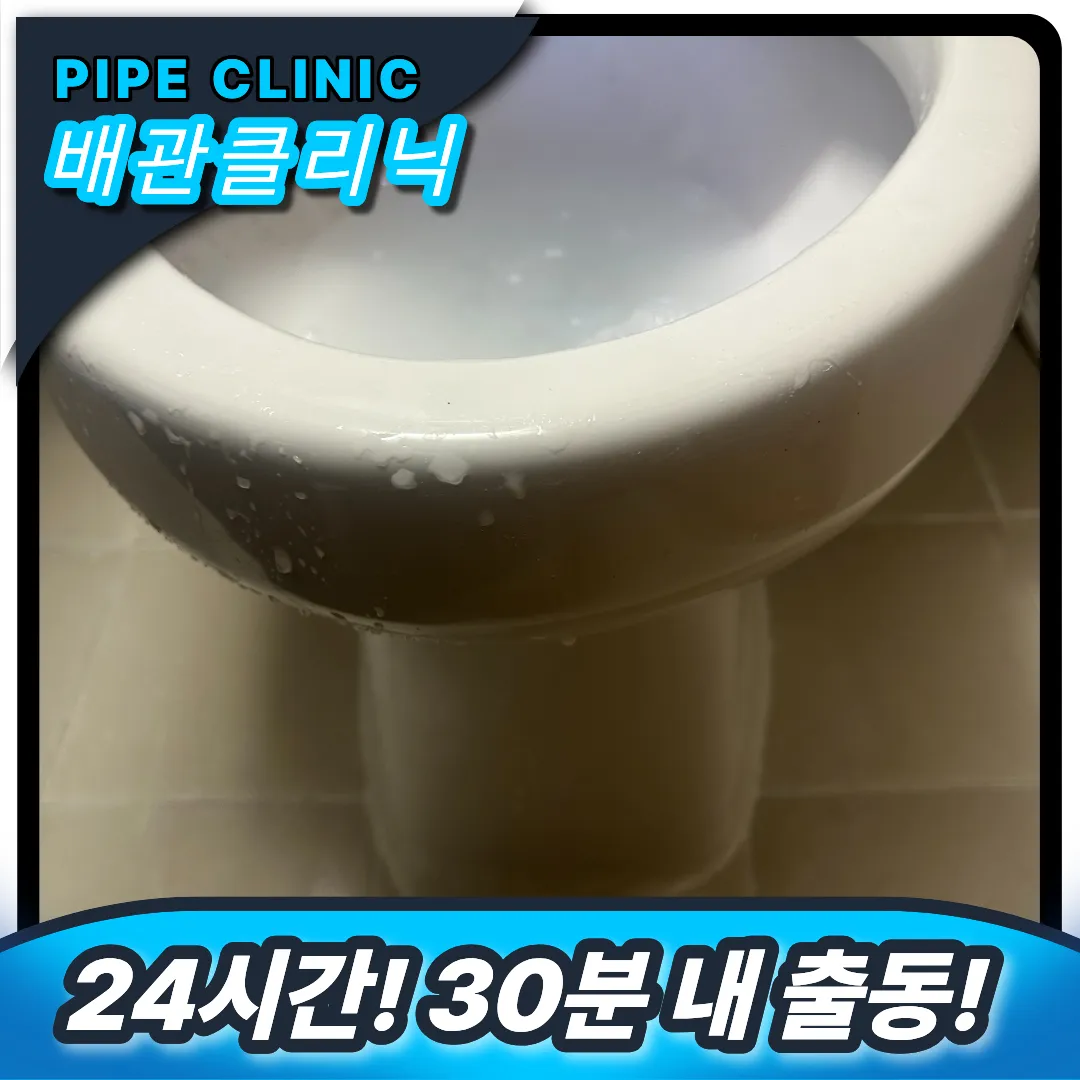 변기역류 원인